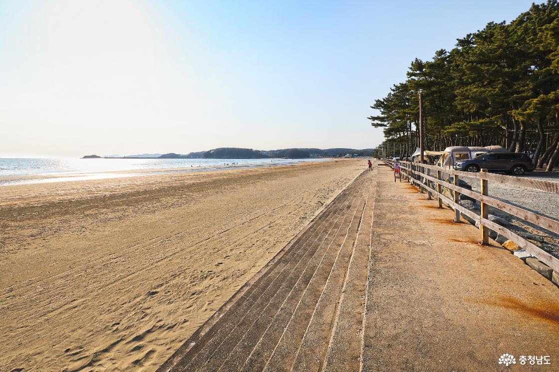 몽산포 야영장에서 도보 3분거리의 몽산포 해변