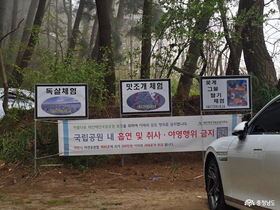 별주부마을 체험 프로그램 안내가 표시된 현장 표지판