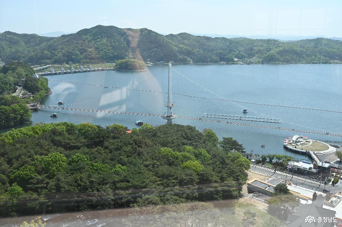 전망대에서 바라본 예당호 출렁다리의 모습