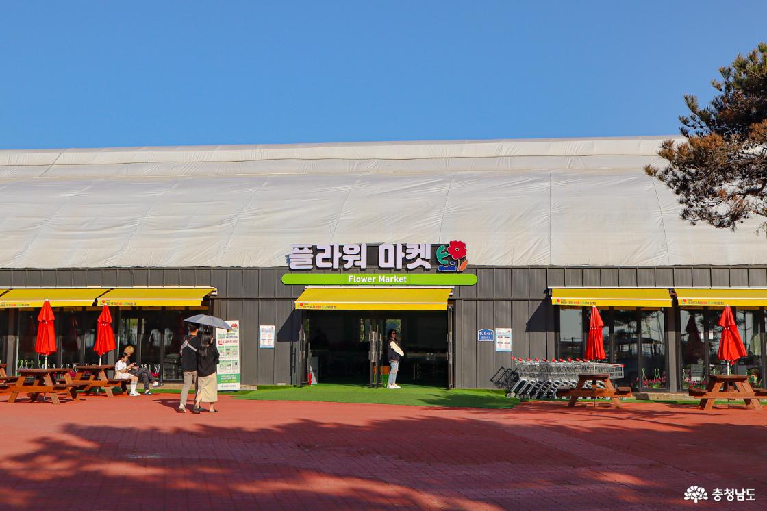 국제교류관