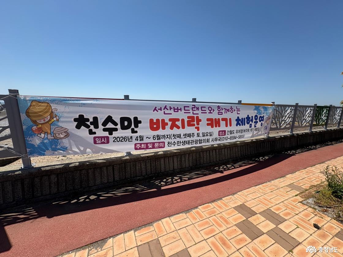 갯벌체험 현수막