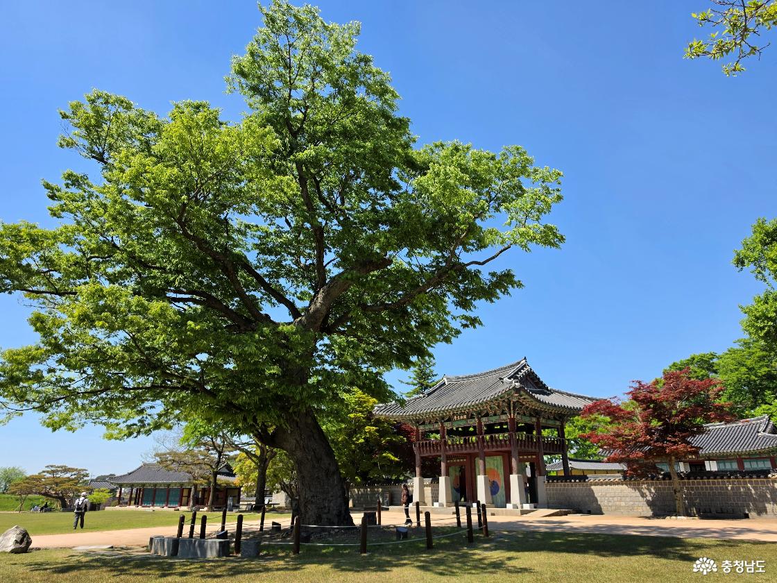 해미읍성 내 모습
