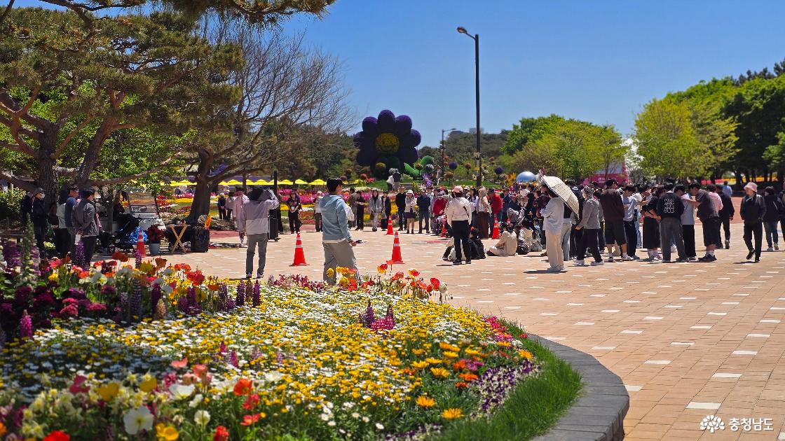 꽃이 핀곳에는 사람꽃도 피어나고