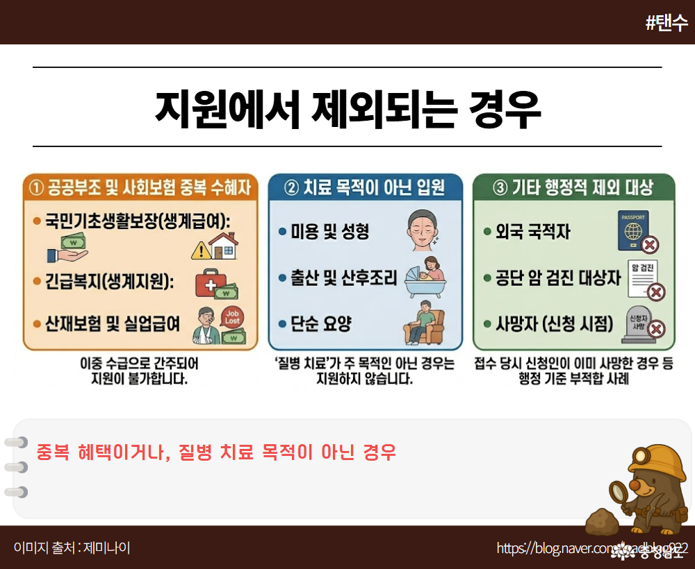 중복 혜택이거나, 질병 치료 목적이 아닌 경우복