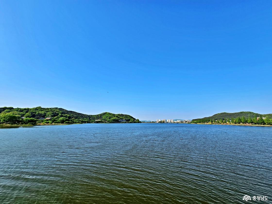 누리교에서 바라 본 풍경