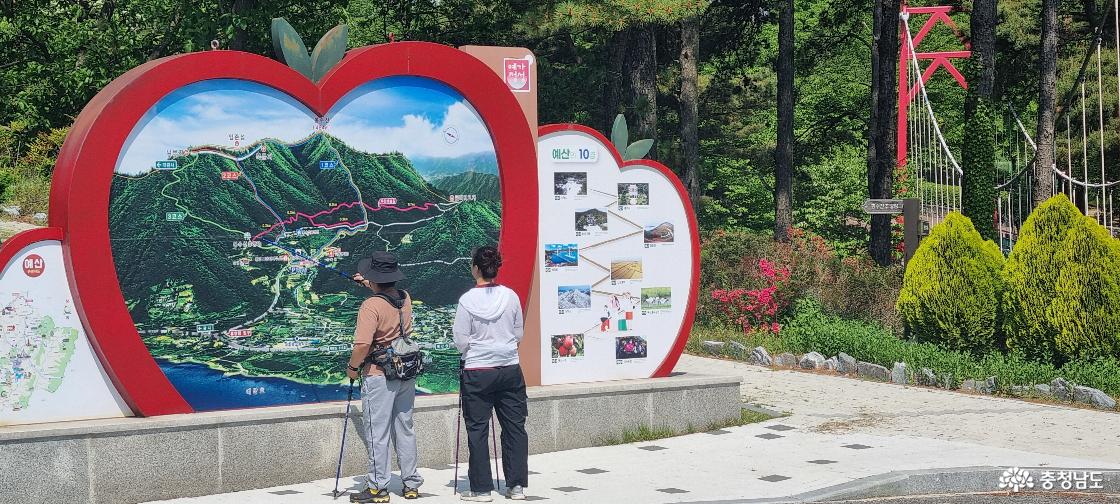 봉수산 산행에 나선 등산객이 등산루트를 확인하고 있다.