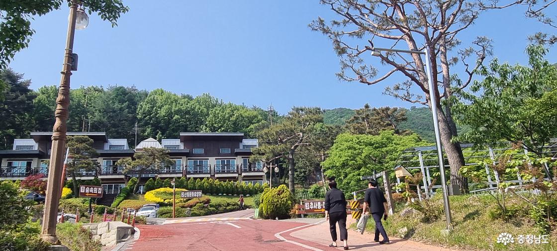 봉수산자연휴양림은 수목원을 비롯한 볼거리가 인접해서 많은 관광객이 찾는 곳이다.