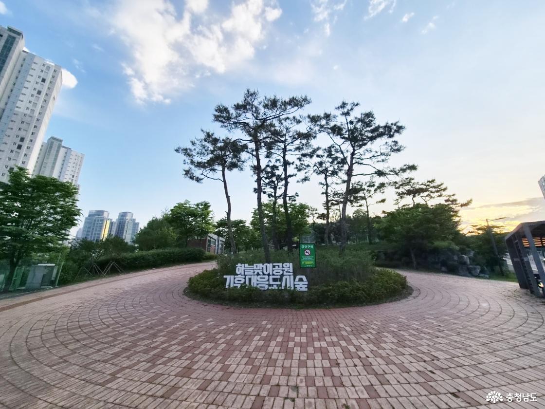 하늘맞이공원