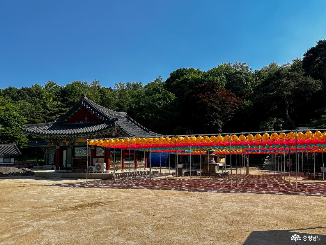 경내를 가득채운 관촉사의 모습