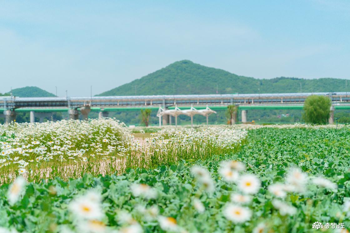 미르섬