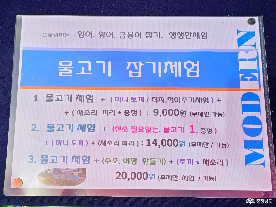 서천 광어도미축제 물고기 잡기 체험 가격과 구성 안내판 모습.