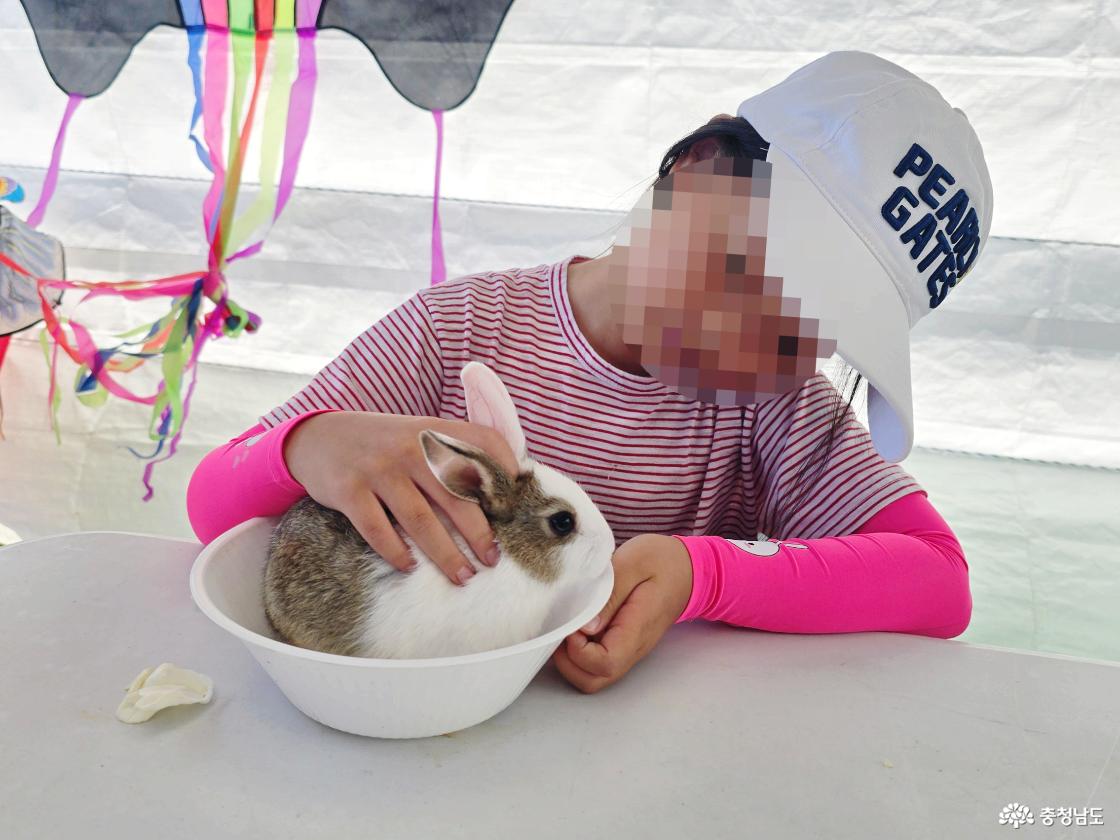 아이가 작은 토끼를 조심스럽게 안고 쓰다듬으며 동물 체험을 즐기고 있는 모습.