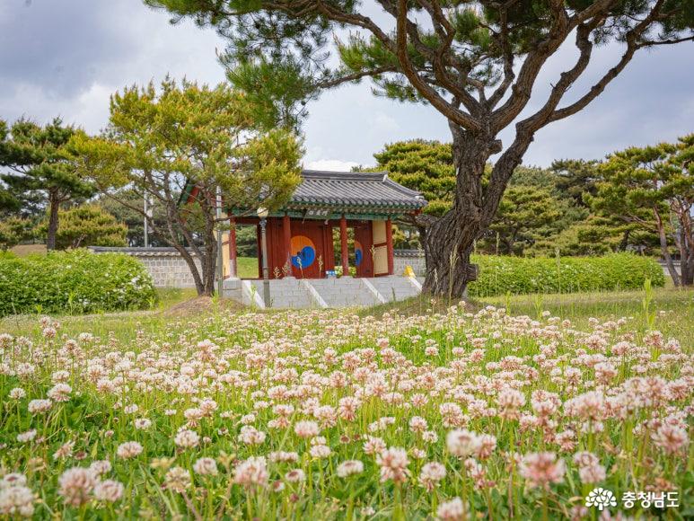 홍주의사총