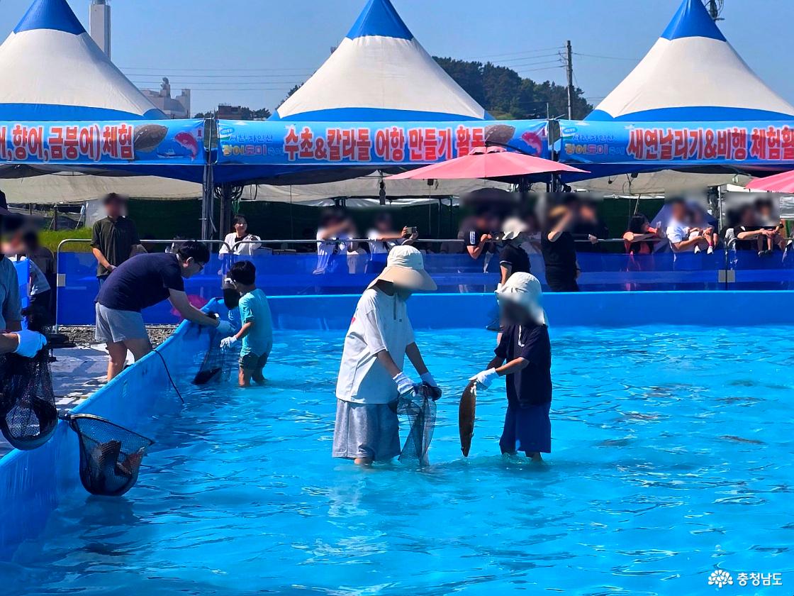 맨손 광어잡기 체험장에서 아이와 보호자가 함께 물속에서 광어를 잡고 있는 모습.