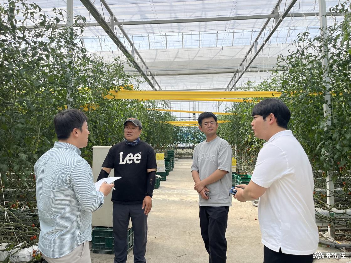 이상기상 대응 &lsquo;충남 시설채소 현장기술지원단&rsquo; 운영