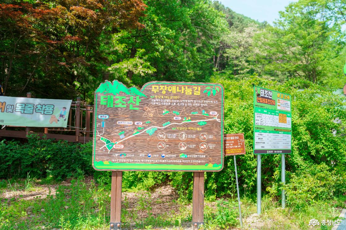태조산산림레포츠단지 전경