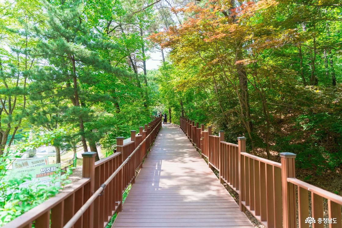 태조산산림레포츠단지 전경