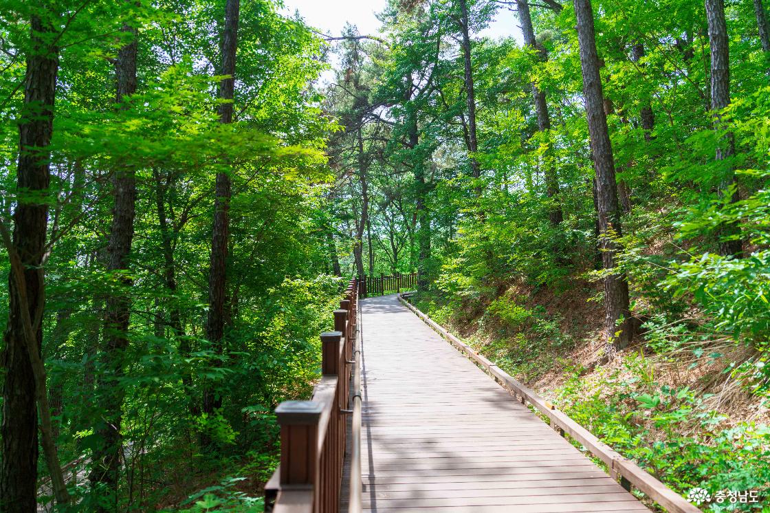 태조산산림레포츠단지 전경