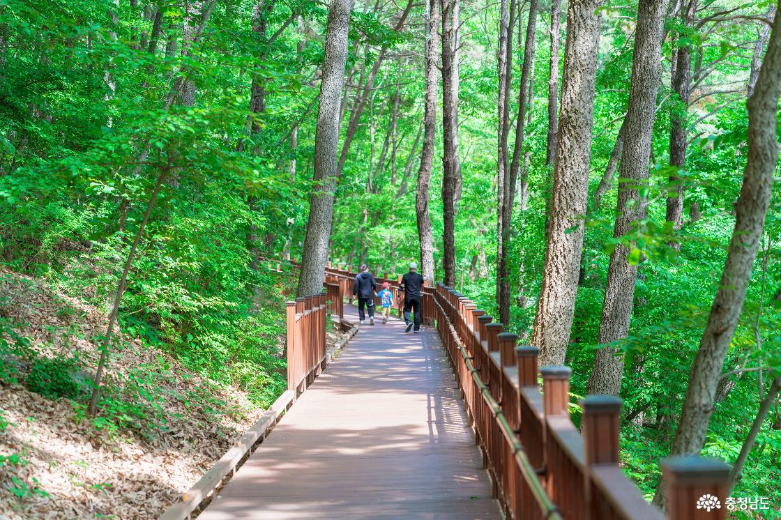 태조산산림레포츠단지 전경