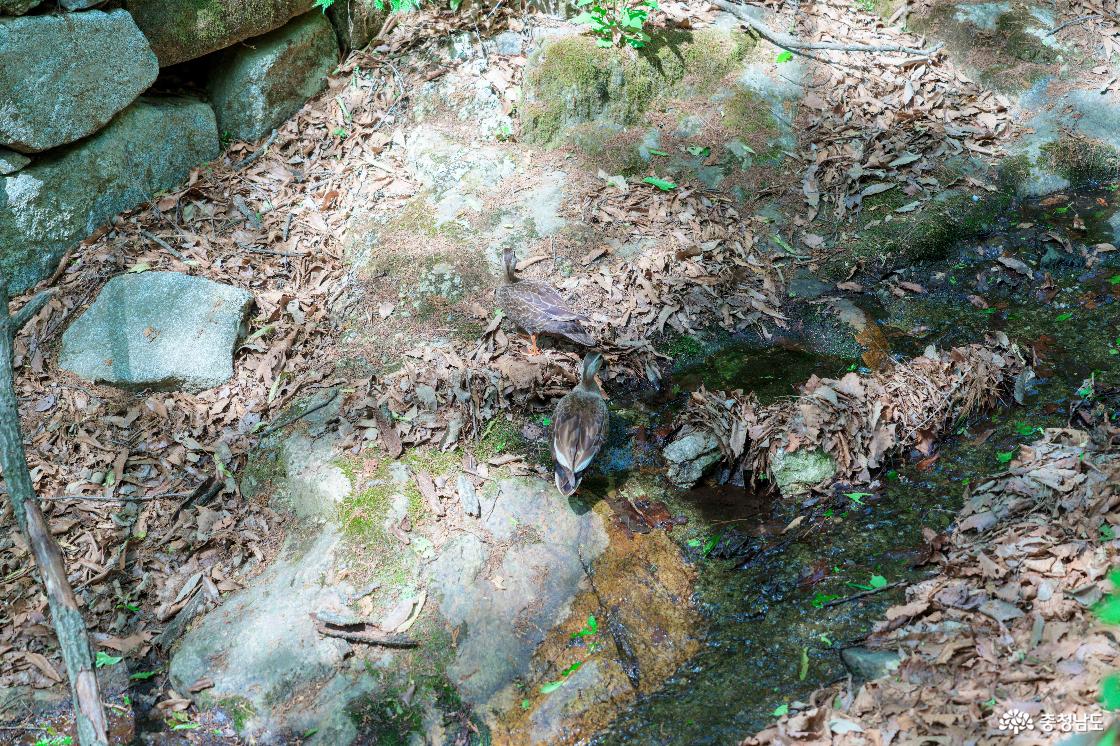 태조산산림레포츠단지 전경