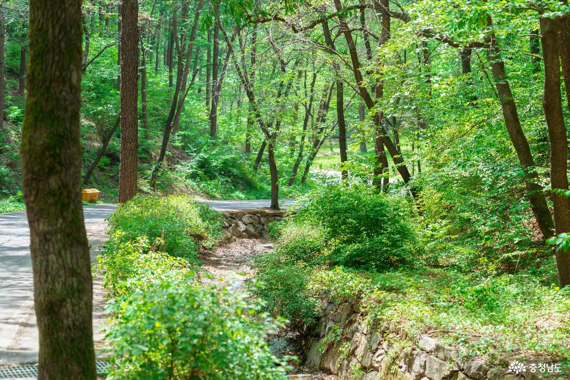 태조산산림레포츠단지 전경