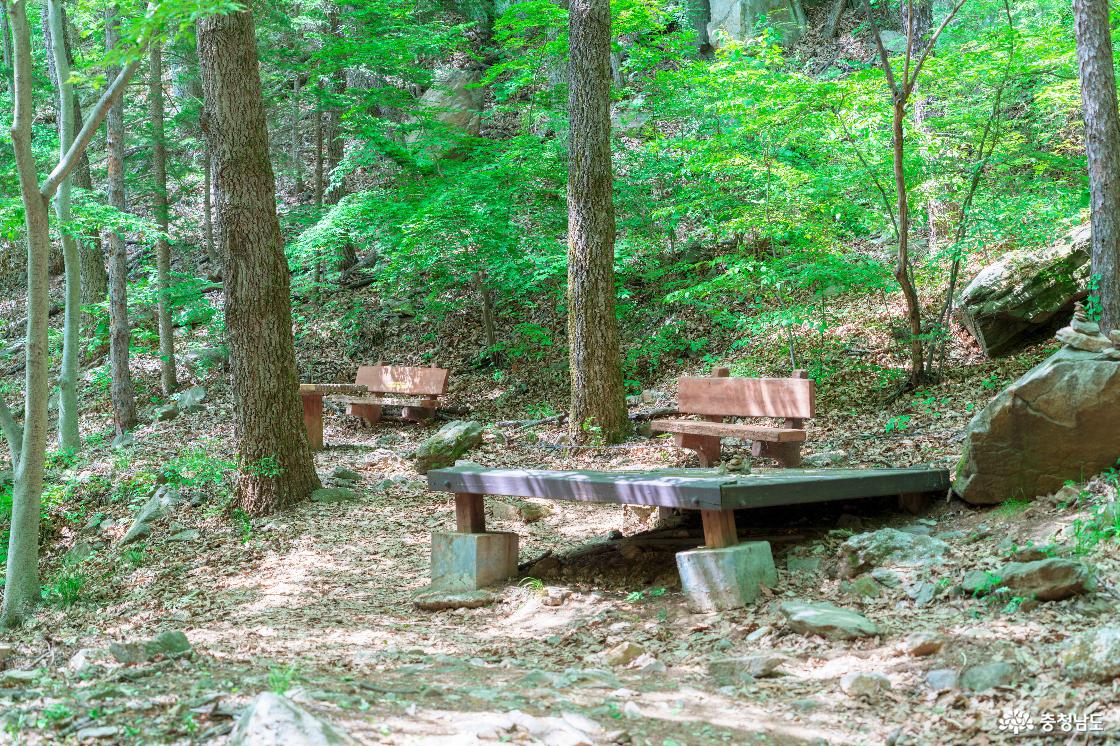 태조산산림레포츠단지 전경