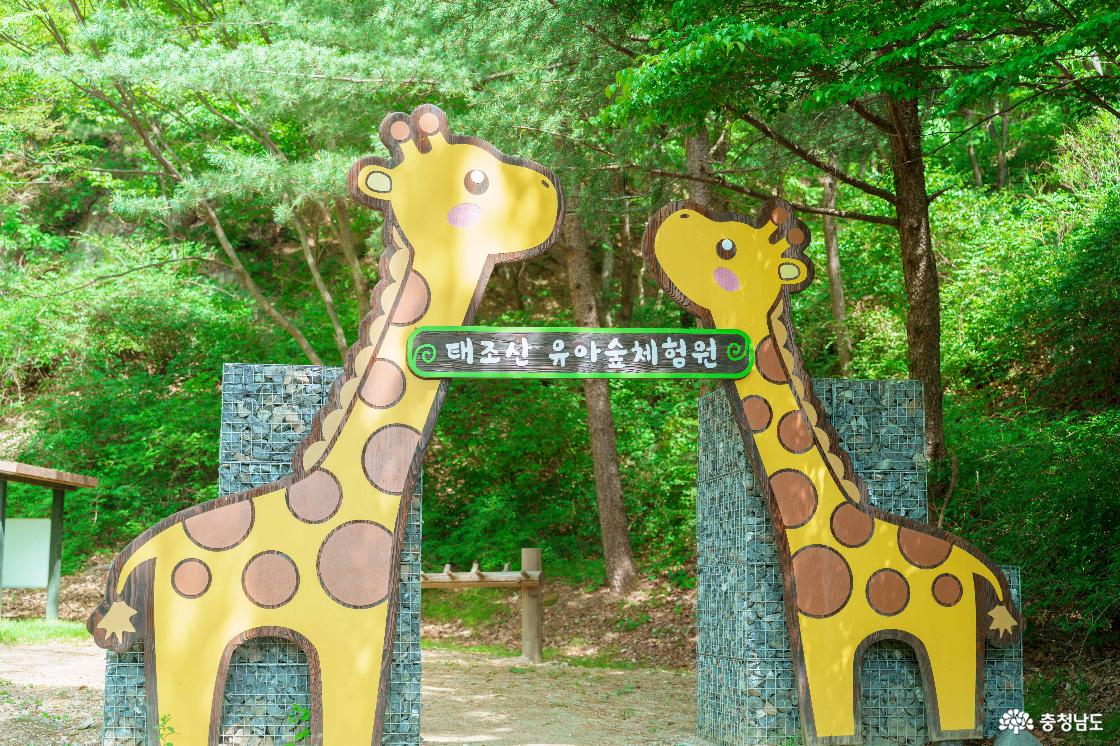 태조산산림레포츠단지 전경