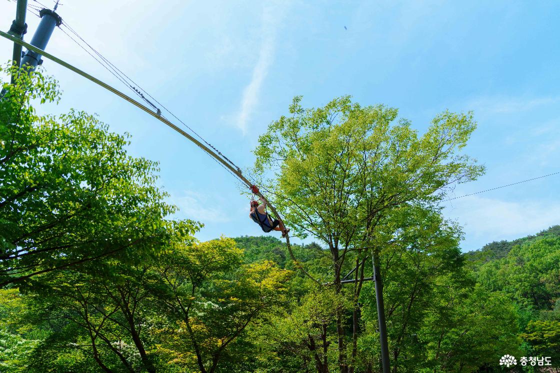 태조산산림레포츠단지 전경