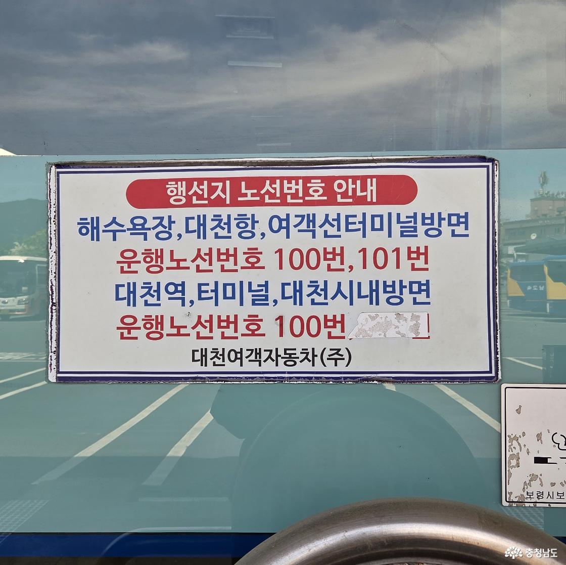 행선지 노선번호 안내문입니다. 해수욕장, 대천항, 여객선터미널방면 운행노선번호는 100번, 101번. 대천역, 터미널, 대천시내방면 운행노선번호는 100번. 대천여객자동차(주)