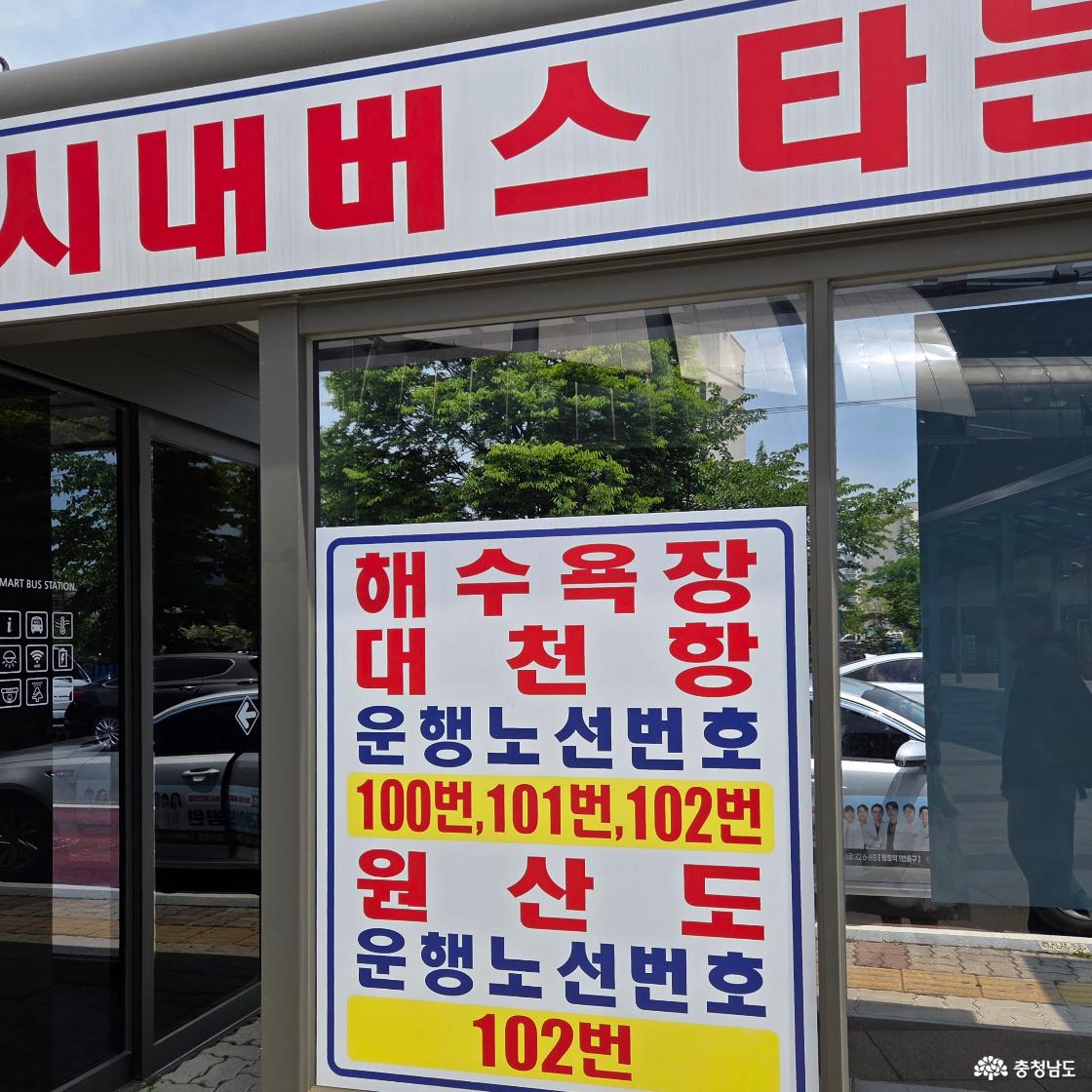 해수욕장 대천항 운행노선번호는 100번, 101번, 102번. 원산도 운행노선번호는 102번이라고 빨간 글씨로 크게 명확하게 적혀있습니다.