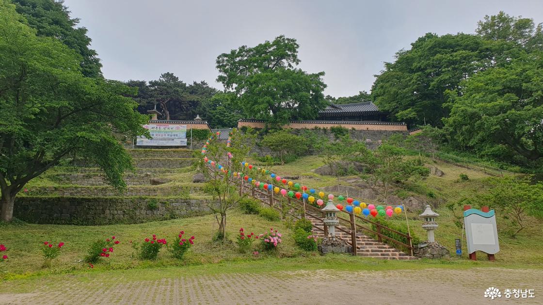 대조사