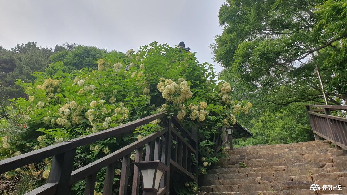 미륵불로 이어지는 계단