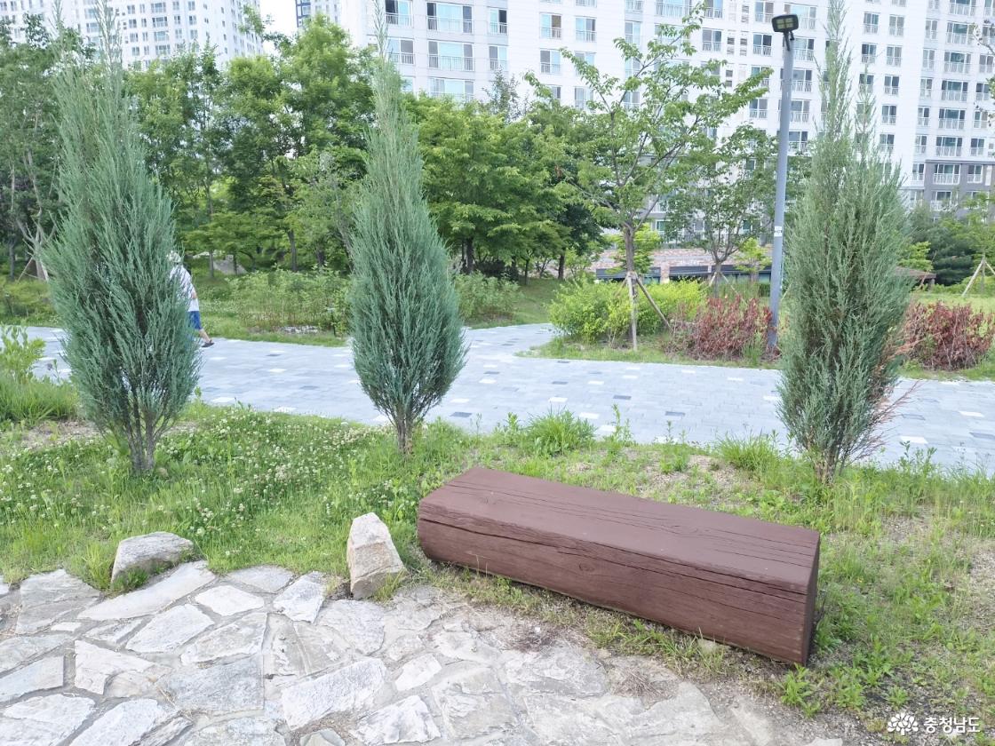 능수버들공원