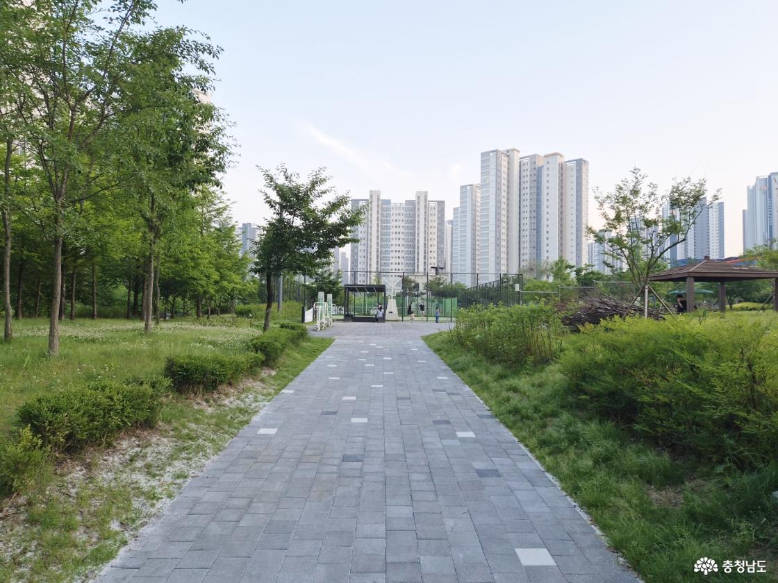 능수버들공원