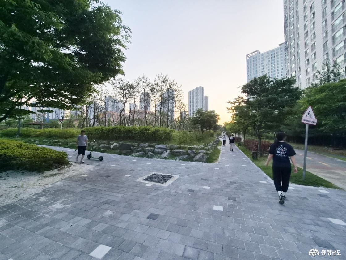능수버들공원