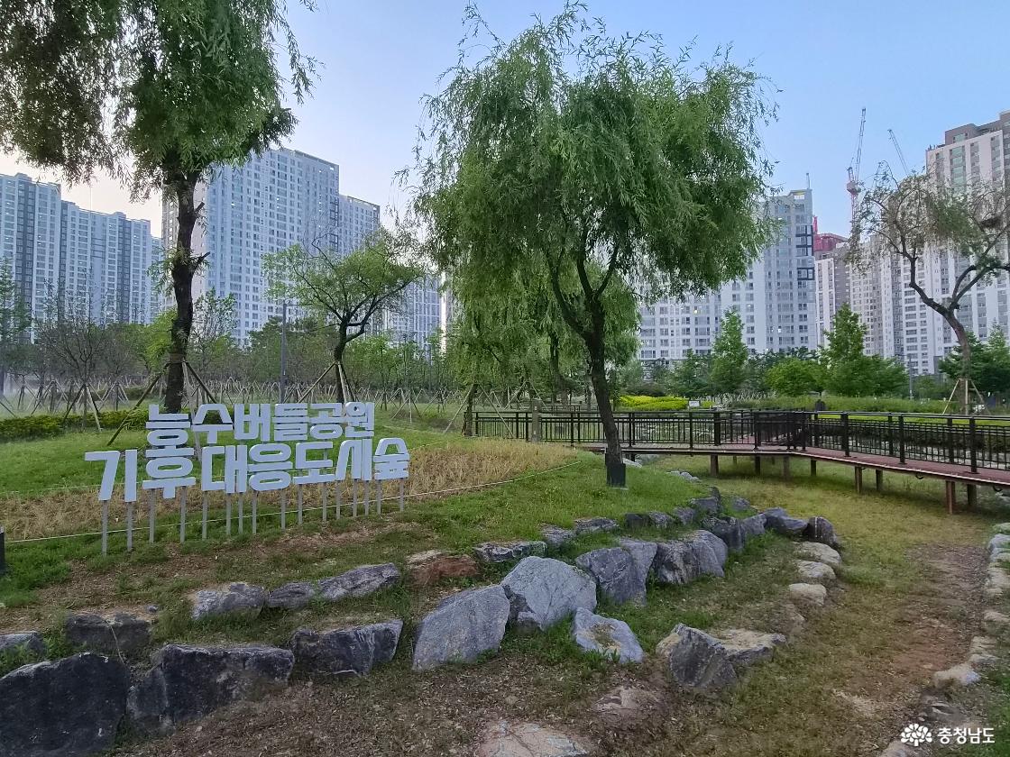 능수버들공원