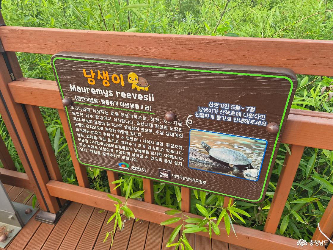 성성호수공원
