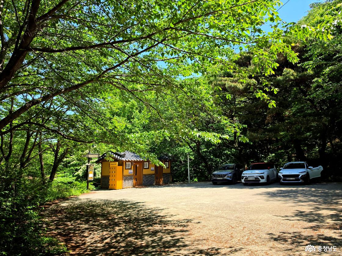 오서산 등산로(정암사 부근)