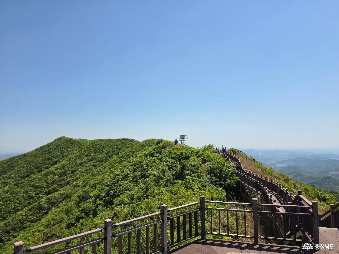 오서산 등산로