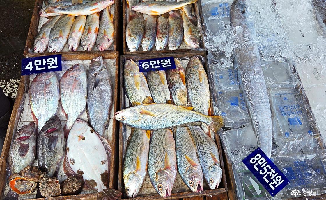 상점에서 판매하는 풍성한 해산물 참돔과 민어 들