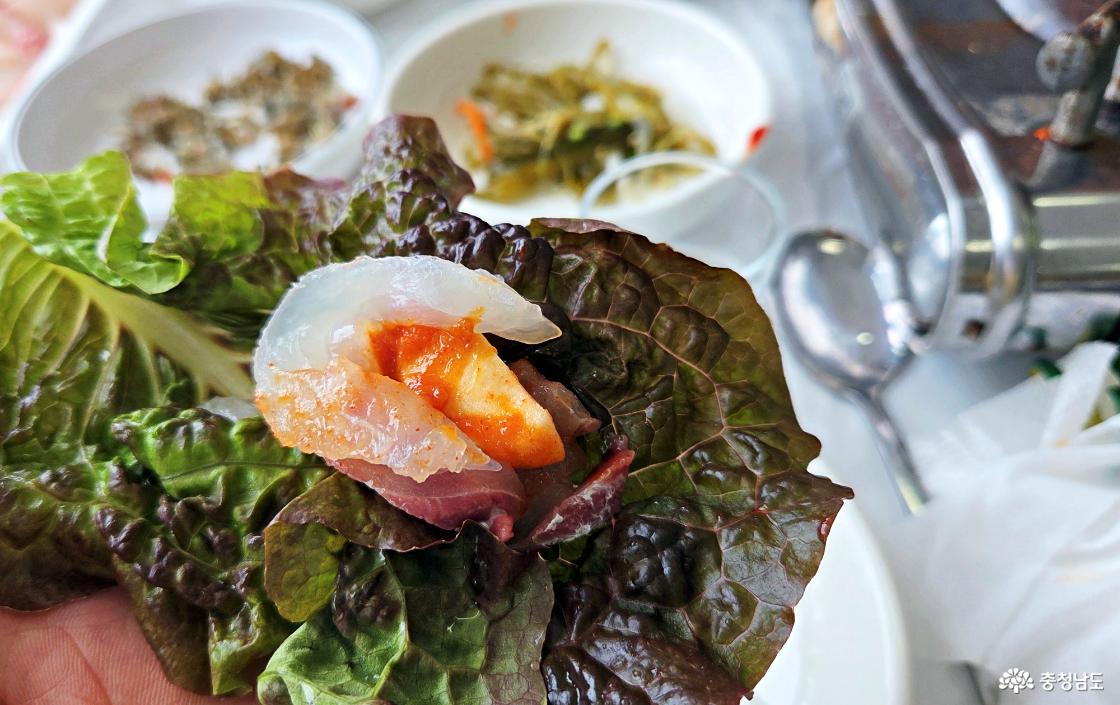 점심식사는 참돔 회 한 접시 