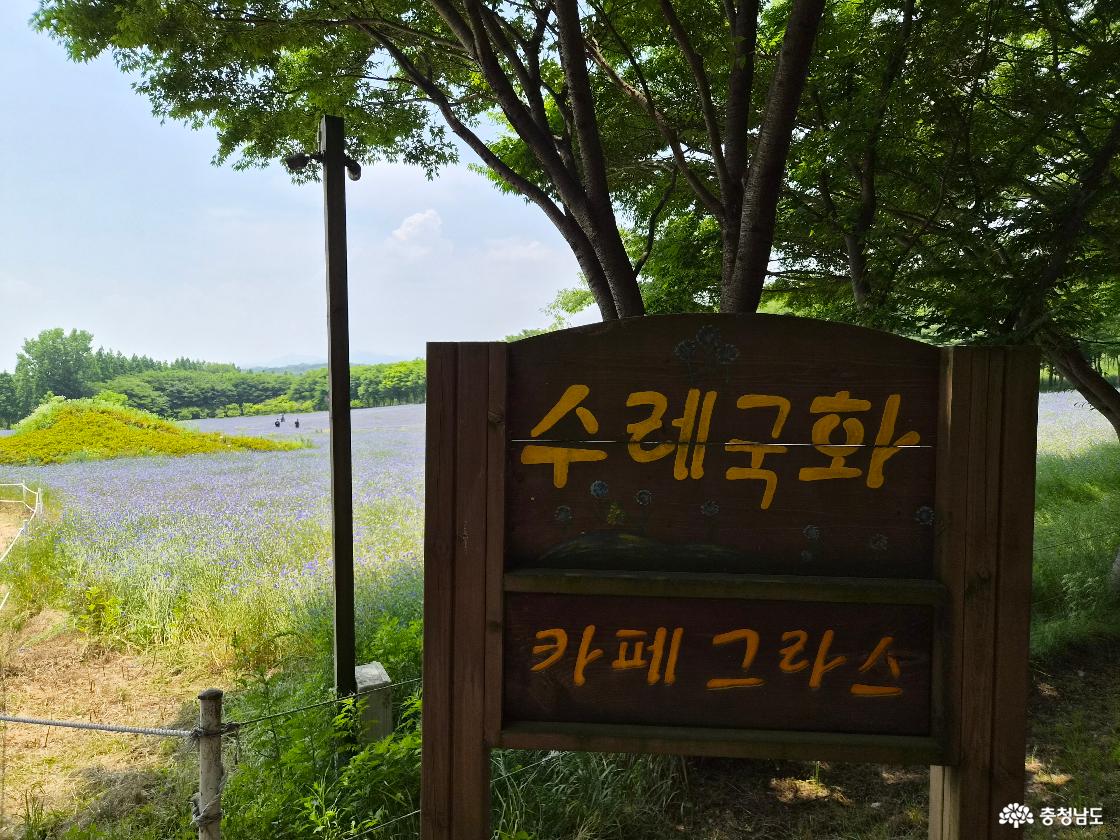 아그로랜드