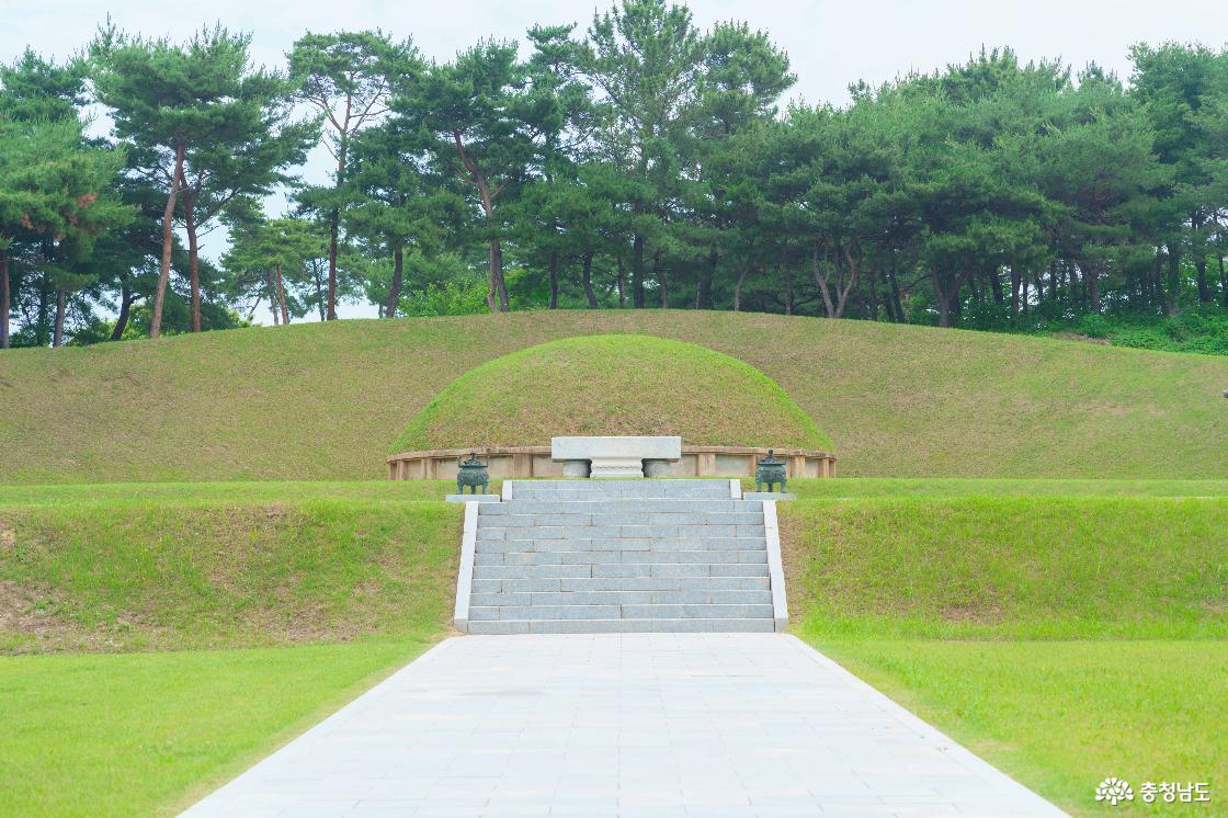 홍주의사총 전경