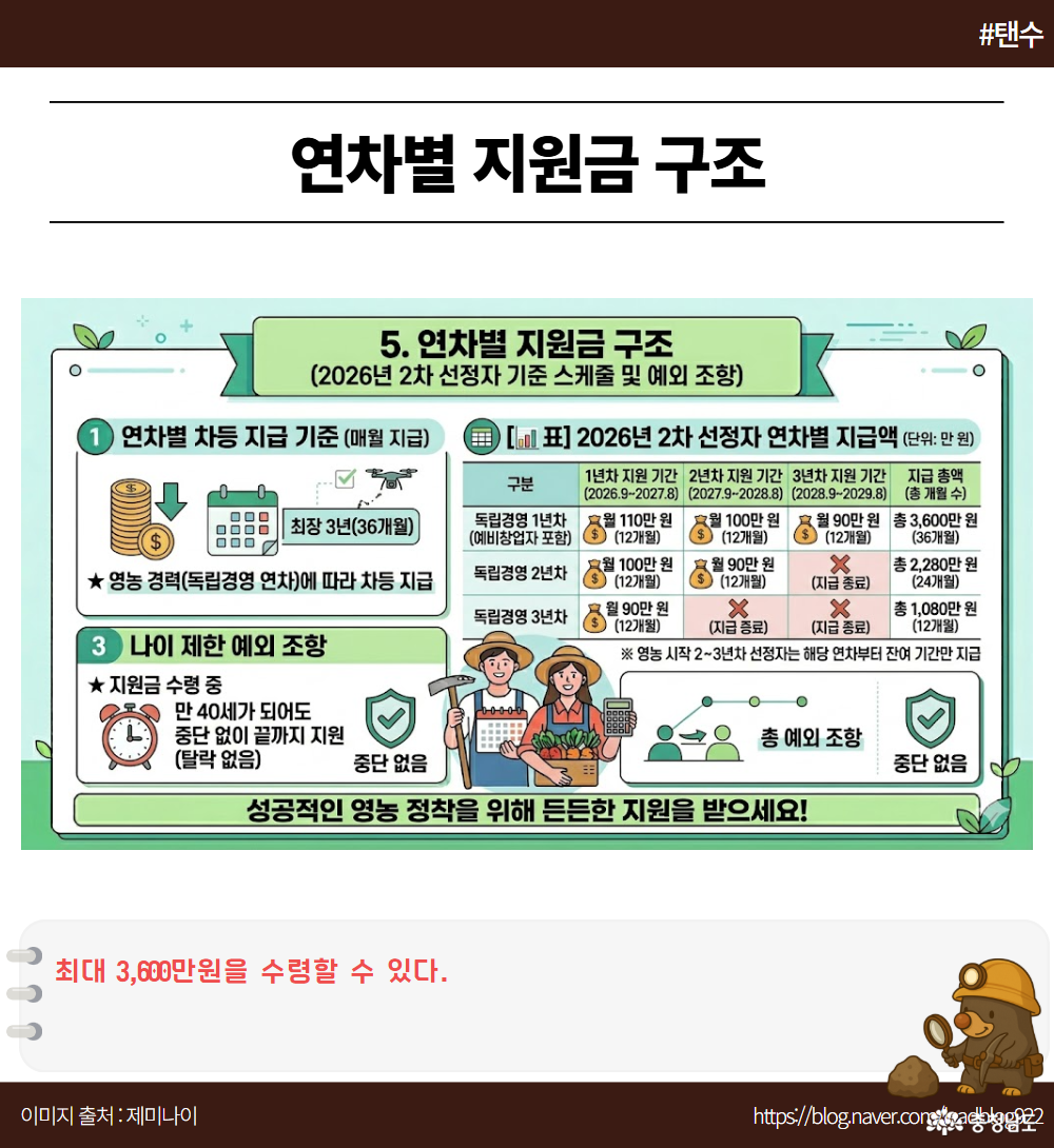 5. 연차별 지원금 구조