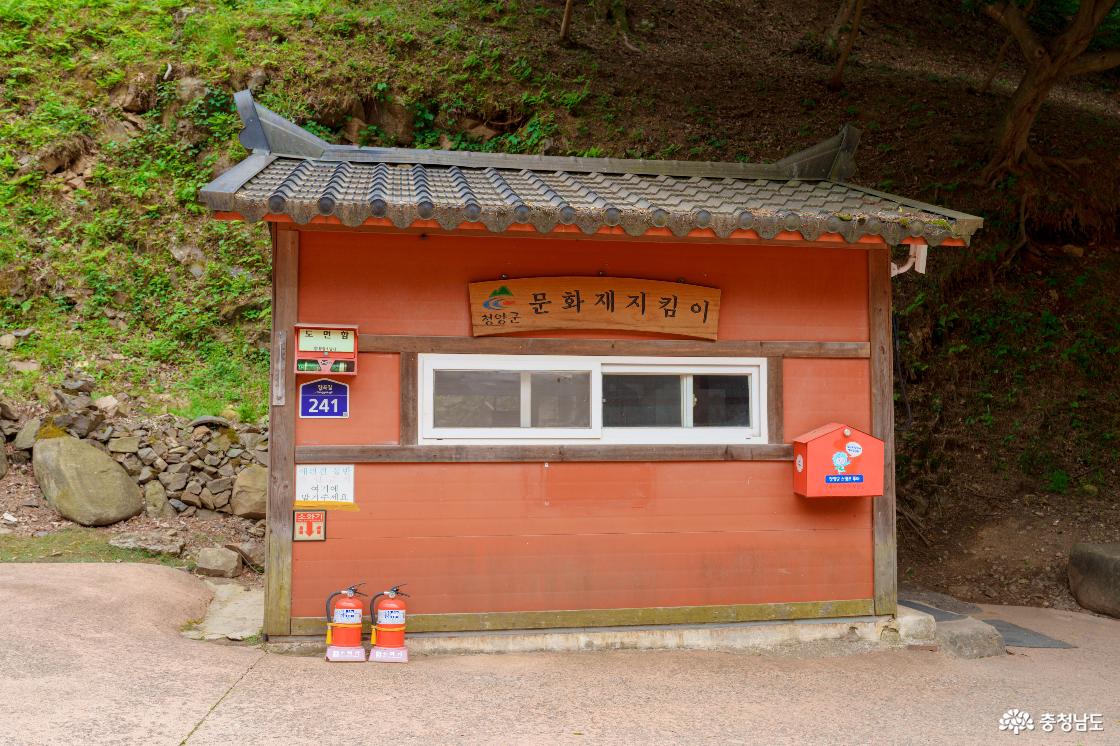문화지킴이