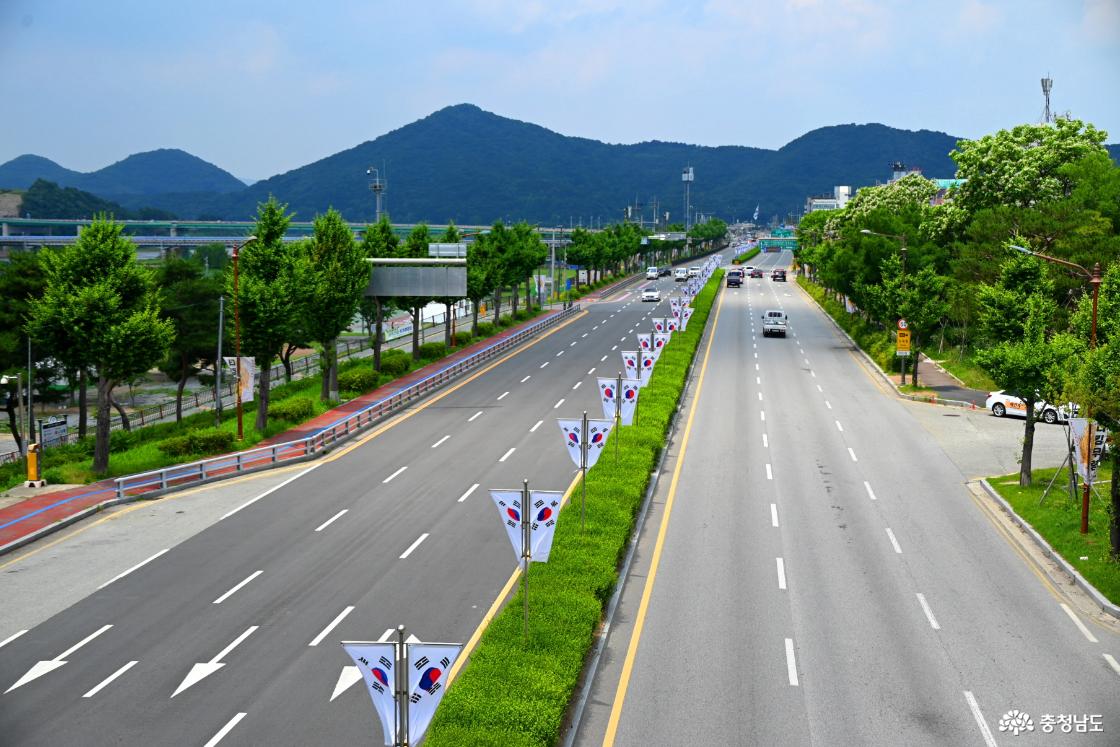 공주 미르섬의 여름