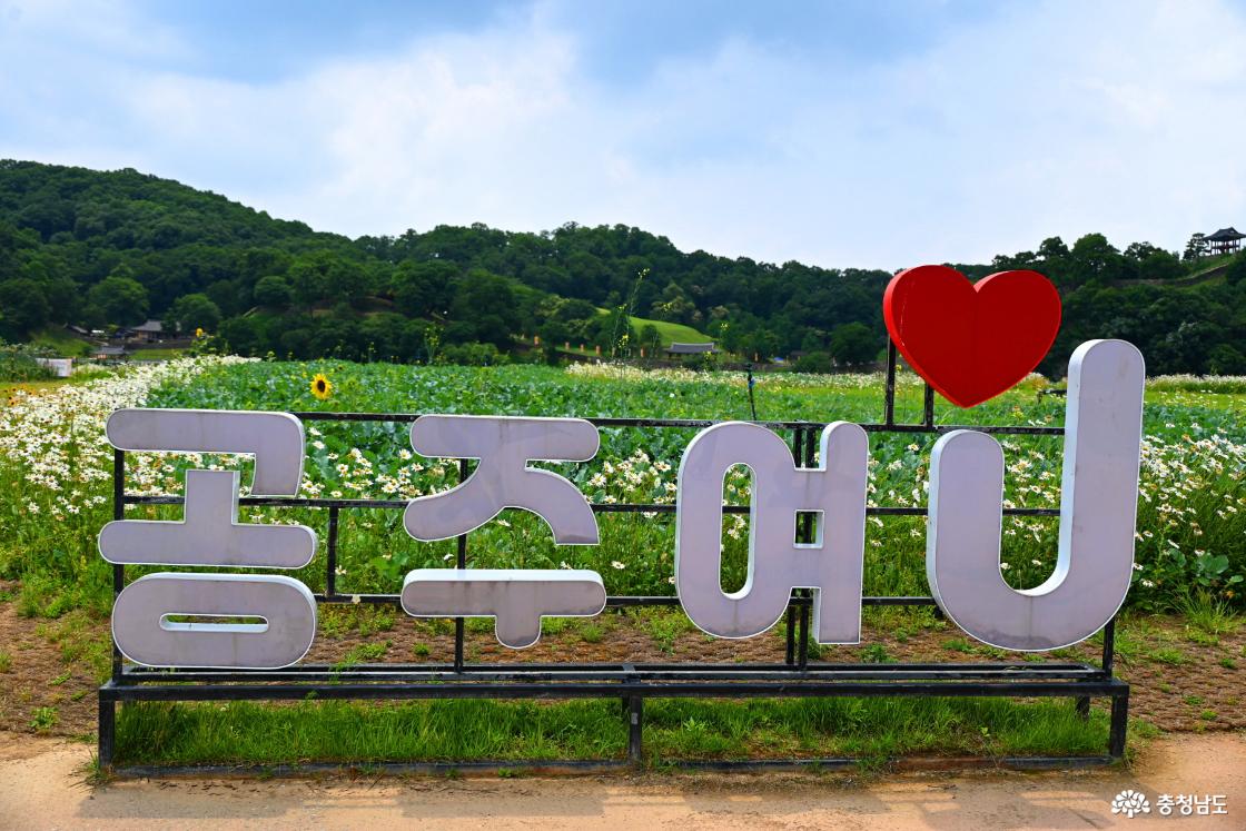 공주 미르섬의 여름