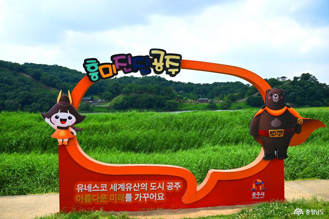 공주 미르섬의 여름