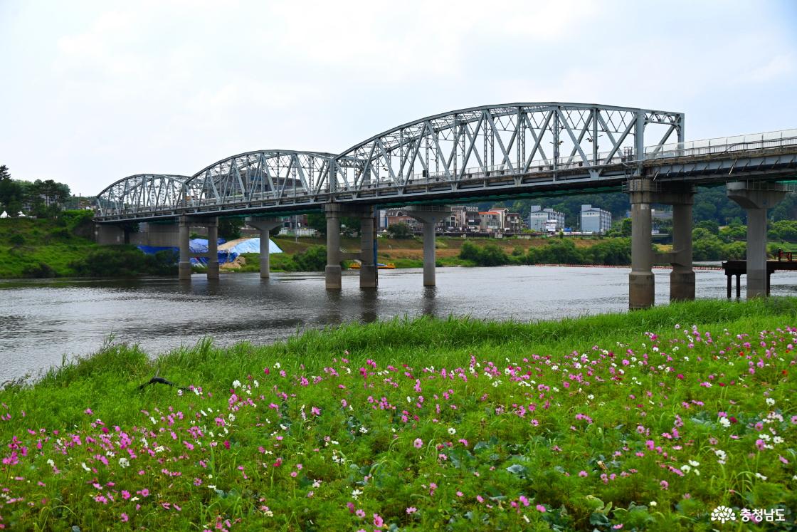 공주 미르섬의 여름