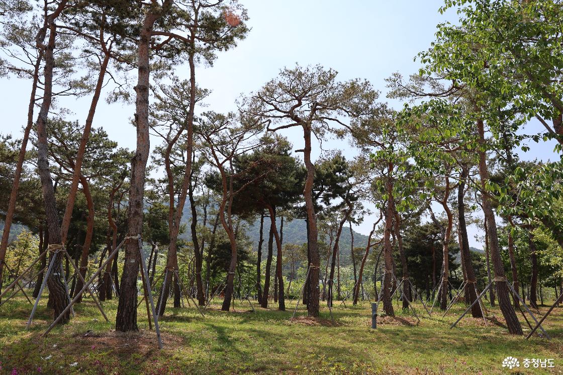 홍예힐스 잔디마당 슬라이드 이미지